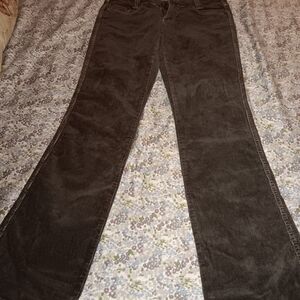 Brown Corduroy Pants